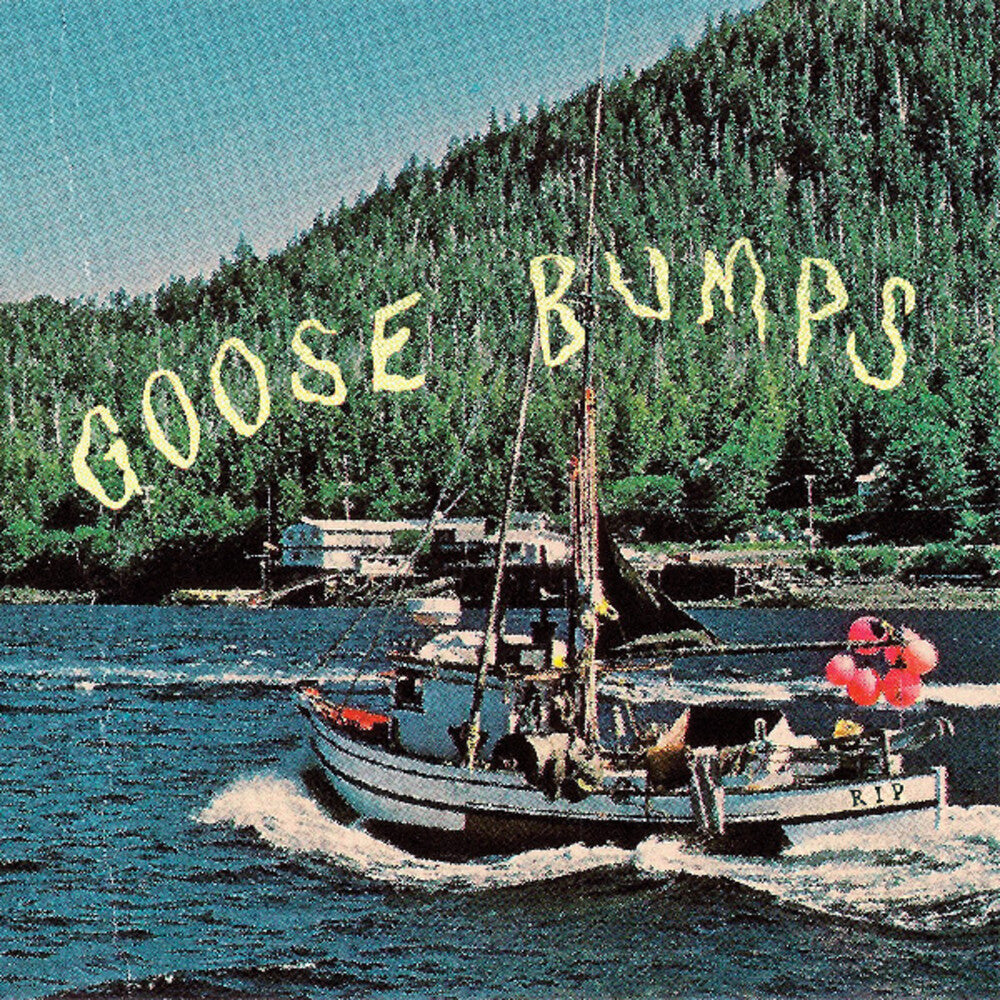 Boyscott - Goose Bumps LP (Blue Marble)