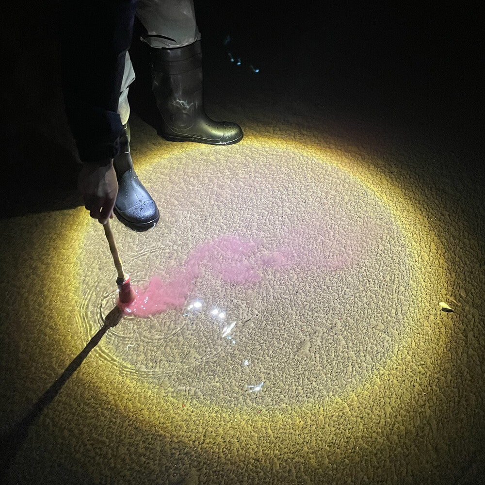 Diles Que No Me Maten - Escrito En Agua LP (Colored, Red) (Preorder: Ships June 19, 2026)