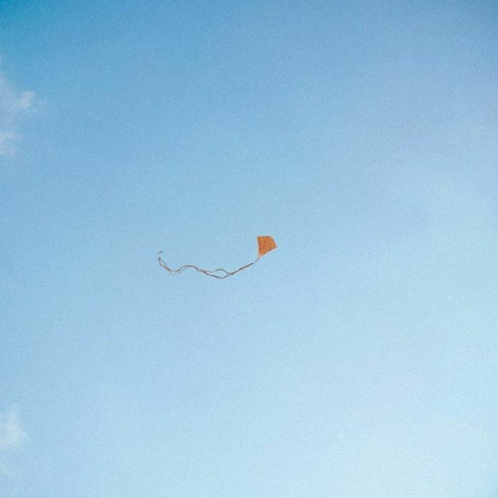 Chris Stussy - Lost Found & Forgotten LP (Preorder: Ships June 12, 2026)