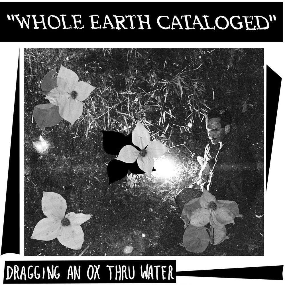 Dragging an Ox through Water - Whole Earth Catalogued LP (Preorder: Ships June 19, 2026)