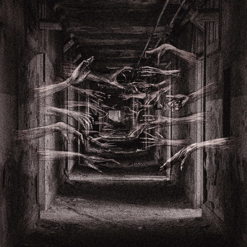 Demonic Possessor - Porous Chambers LP (Preorder: Ships June 26, 2026)