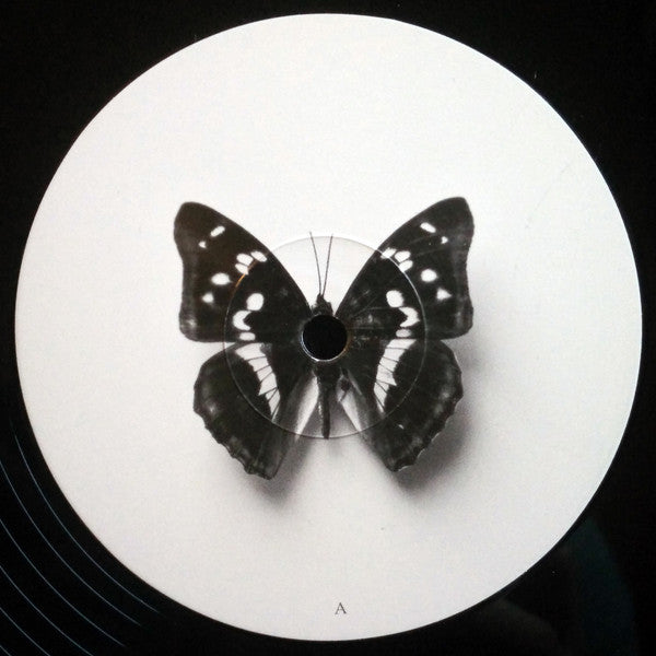 Christian Löffler - Young Alaska (12") (Very Good Plus (VG+)) USED