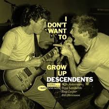Descendents - I Don't Want to Grow Up LP (Punk Note Edition)