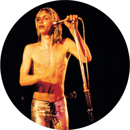 Iggy & The Stooges - More Power LP (Picture Disc Vinyl, Remastered)