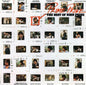 John Prine - Prime Prine CD