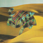 Django Django - S/T 2LP
