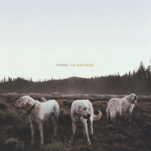 Foxing - Albatross LP