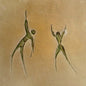 Arcesia - Reachin Arcesia LP