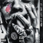A$AP Rocky - At.long.last.a$ap CD (Jewel Case)