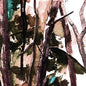 Hop Along - Bark Your Head Off Dog LP