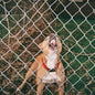Knocked Loose - Pop Culture CD