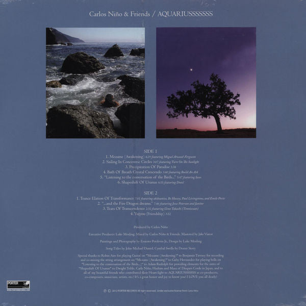 Carlos Niño & Friends - Aquariusssssss (LP) (Near Mint (NM or M-)) USED