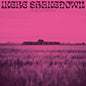 Ikebe Shakedown - Kings Left Behind LP