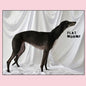 Flat Worms - S/T LP