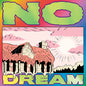 Jeff Rosenstock - No Dream LP