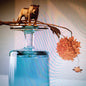 Beirut - Gallipoli LP
