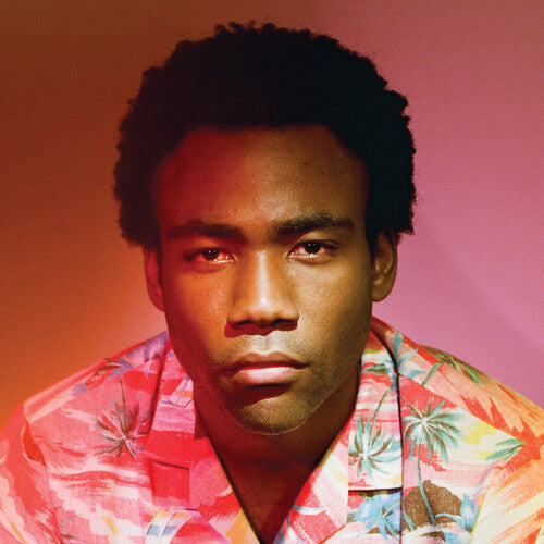 Childish Gambino - Because The Internet 2LP (Black Vinyl, 180g)