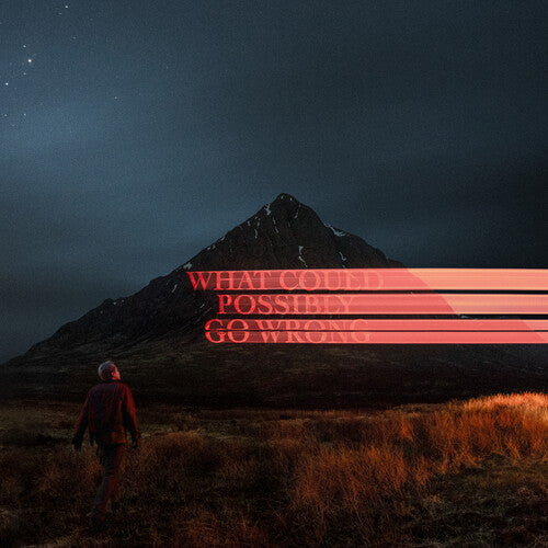 Dominic Fike - What Could Possibly Go Wrong CD