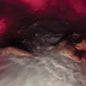 Hayley Williams - FLOWERS for VASES/ descansos CD