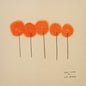 L.S. Dunes - Past Lives CD (Softpak)