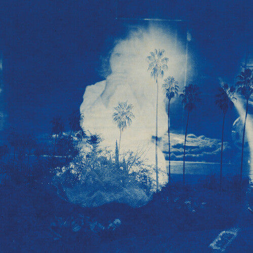 Fruit Bats - A River Running to Your Heart LP (Blue And Cream Colored Vinyl)