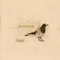 La Dispute - Somewhere at the Bottom of the River Between Vega and Altair 2LP (Brown Colored Vinyl)