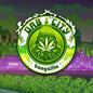 Bongzilla - Dab City LP