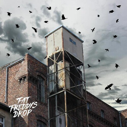 Fat Freddy's Drop - Blackbird Returns 2LP