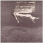 Bill Evans & Jim Hall - Undercurrent CD (Bonus Tracks, Remastered, Jewel Case)