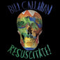 Bill Callahan - Resuscitate 2LP