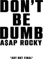A$AP Rocky - Don't Be Dumb CD (TBD)