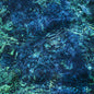 Ichiko Aoba - Luminescent Creatures LP