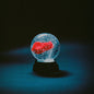 Darkside - Nothing CD