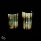 Divide and Dissolve - Insatiable CD