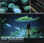 Bring Me the Horizon - Count Your Blessings CD (United Kingdom, Jewel Case)