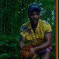 Childish Gambino - Bando Stone And The New World 2LP (Gatefold LP Jacket)