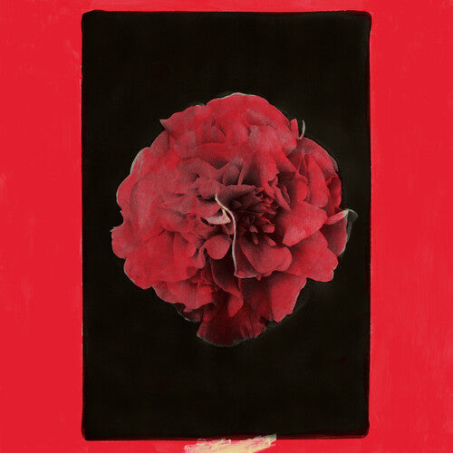 Activity - A Thousand Years in Another Way LP