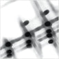 Gregor Samsa - 40:13.5 LP