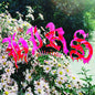 Hirs Collective - We're Still Here LP (Colored Vinyl, White, Gatefold Lp Jacket)