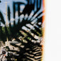 Julien Mier - Gradually LP