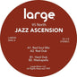 95 North - Jazz Ascension LP