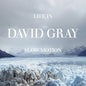 David Gray - Life in Slow Motion LP (Blue Colored Vinyl, 20th Anniversary Edition)