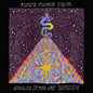 Fuzz - Fuzz's Fourth Dream 2LP