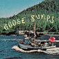 Boyscott - Goose Bumps LP (Blue Marble)