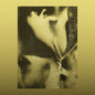 Flying Lotus - 1983 LP (RSD 2026)