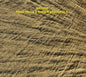 Fred Frith  / Stackpole,Karen - Nature CD