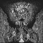 Deathbird Earth - Objective Consciousness CD