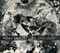 Brightwork New Music - Noah Meites: Counting CD