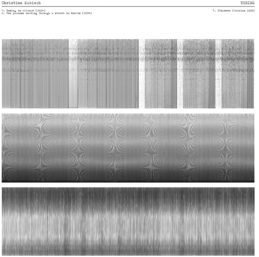 Christina Kubisch - Tuning LP