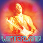 Jimi Hendrix Experience - Winterland LP